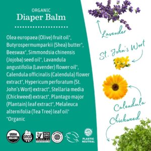Earth Mama Organic Nipple Butter 2oz jar – USDA Certified and Lanolin-Free