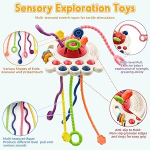 Sensory Baby Toys