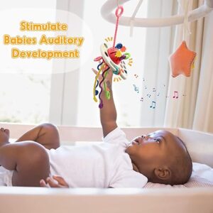 Sensory Baby Toys