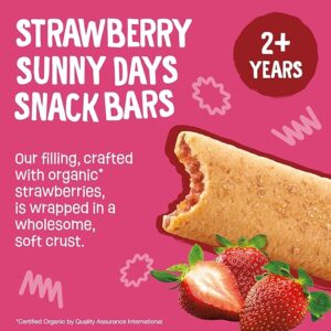 Organic Toddler Snacks