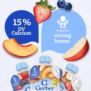 Gerber Baby Food