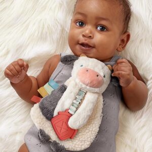 baby teether