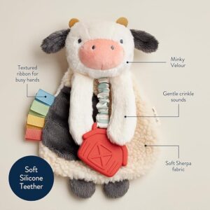 baby teether