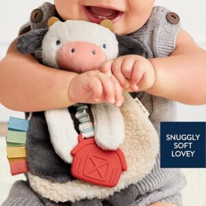 baby teether