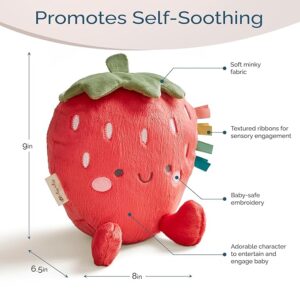 Sensory Plush Toy