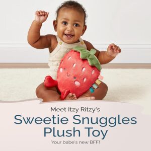 Sensory Plush Toy