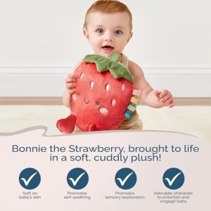 Sensory Plush Toy