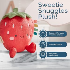 Sensory Plush Toy