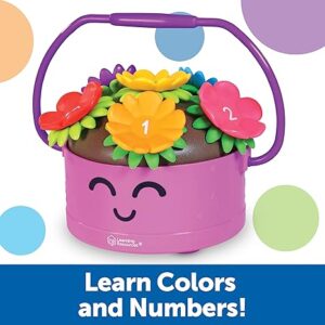 fine motor toys