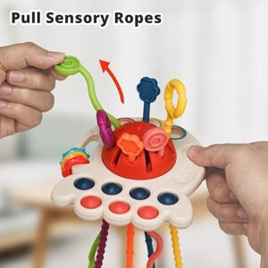 Montessori Sensory Toy