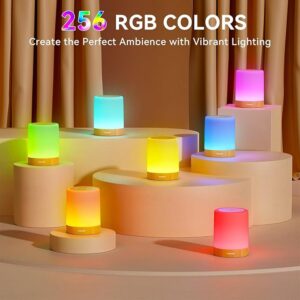Dimmable Touch Lamp