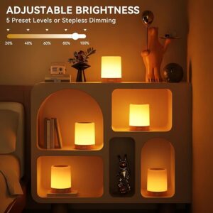 Dimmable Touch Lamp