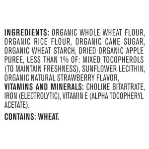 Organic Baby Snacks