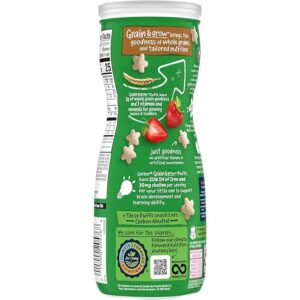 Organic Baby Snacks