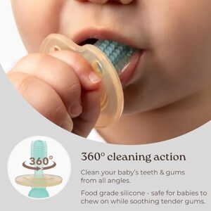 Baby Toothbrush