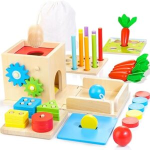 Kizfarm Wooden Montessori