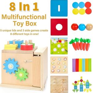 Montessori Baby Toys