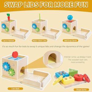 Montessori Baby Toys