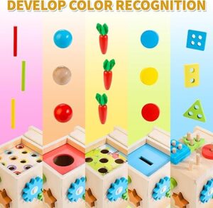 Montessori Baby Toys