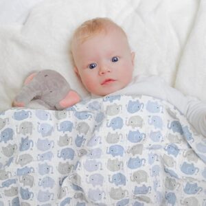 Elephant Swaddle Blanket